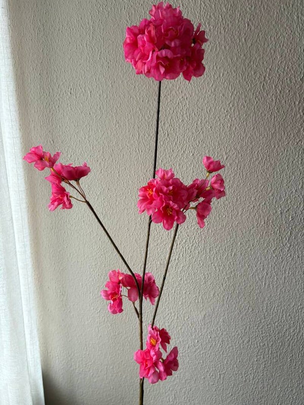 Bloesemtak Roze