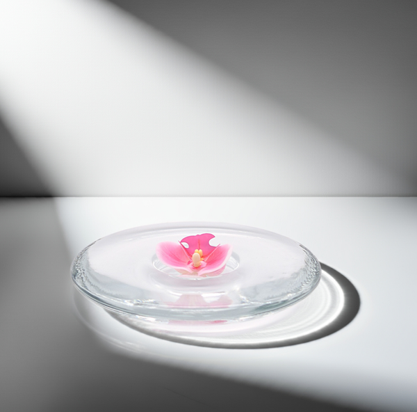 Vintage Clear Glass Dish Candle Holder by Iittala | TheyUnique