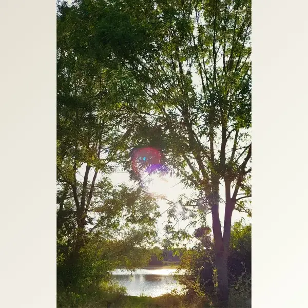Intuïtieve Natuurwandeling