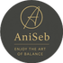 AniSeb Accounting