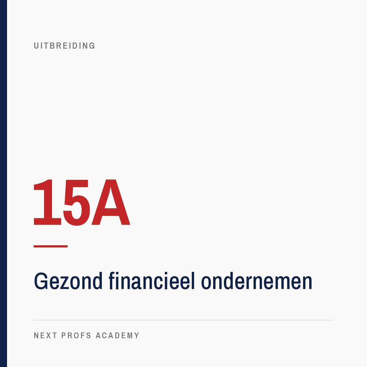 15A — Gezond financieel ondernemen