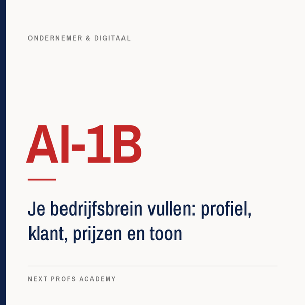 AI-1B — Je bedrijfsbrein vullen: profiel, klant, prijzen en toon