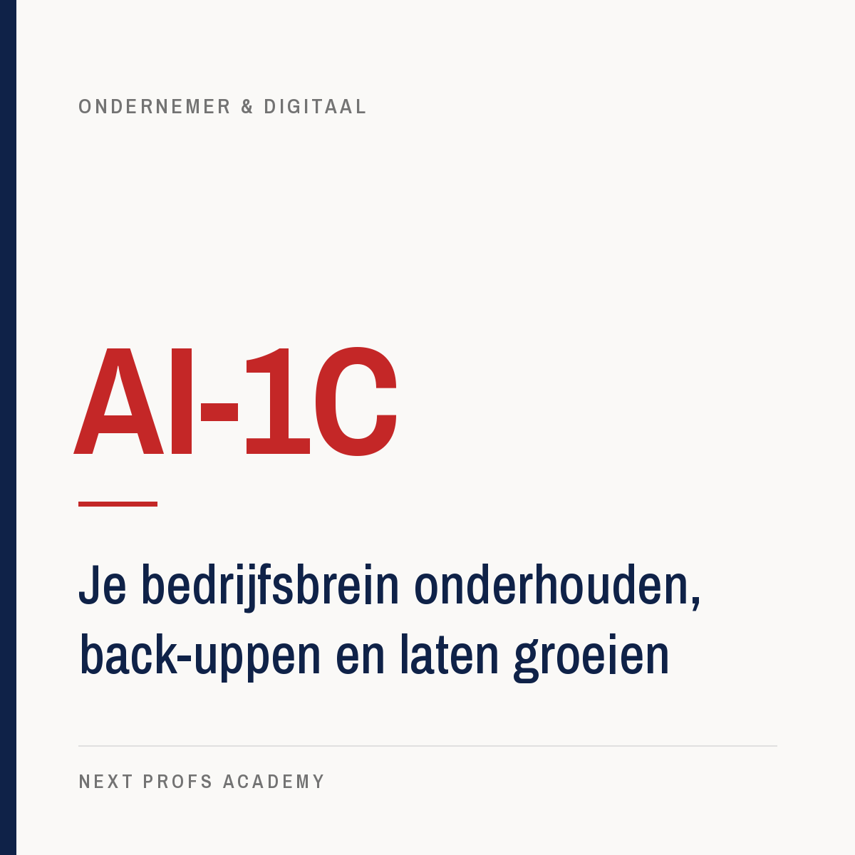 AI-1C — Je bedrijfsbrein onderhouden, back-uppen en laten groeien