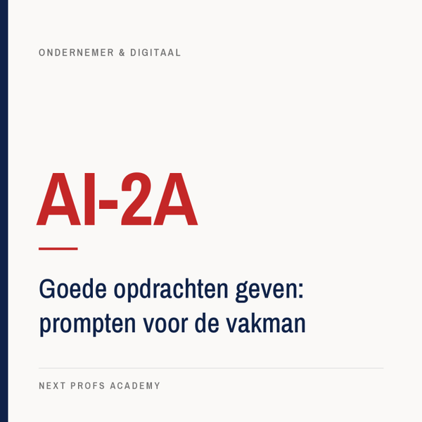 AI-2A — Goede opdrachten geven: prompten voor de vakman