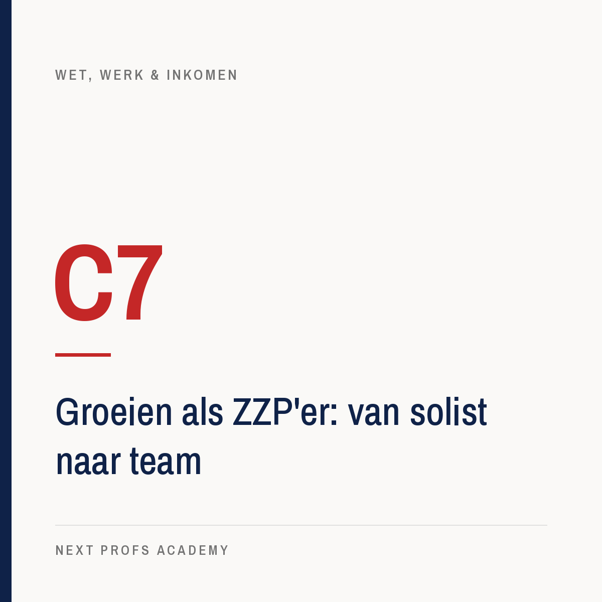 C7 — Groeien als ZZP’er: van solist naar team