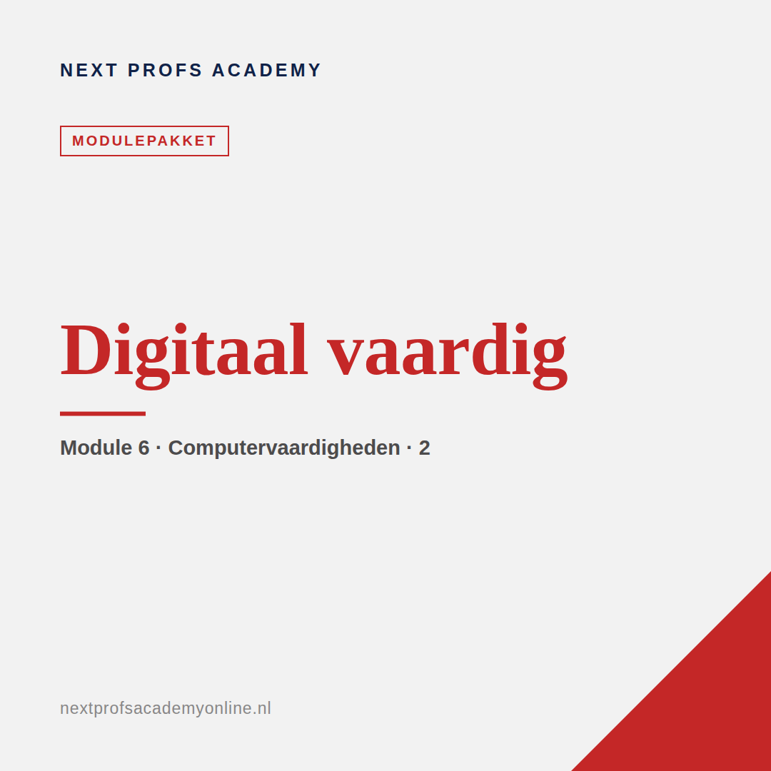 Module 6 · Digitaal vaardig