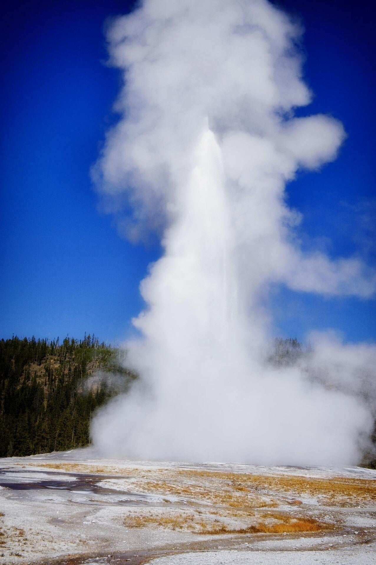 12019-old-faithful-403224_1920-standard.jpg