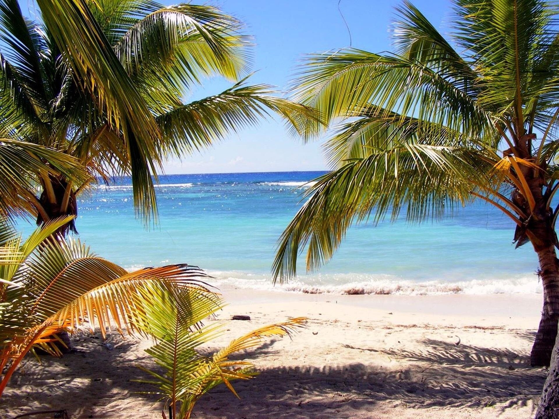 botosgy-beach-2924151_1920-standard.jpg