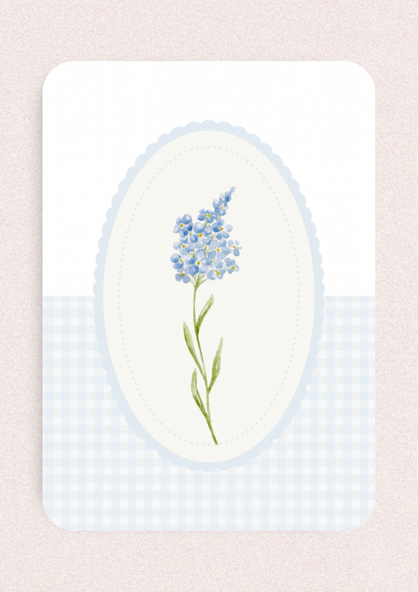 Blanco - Blauwe bloem