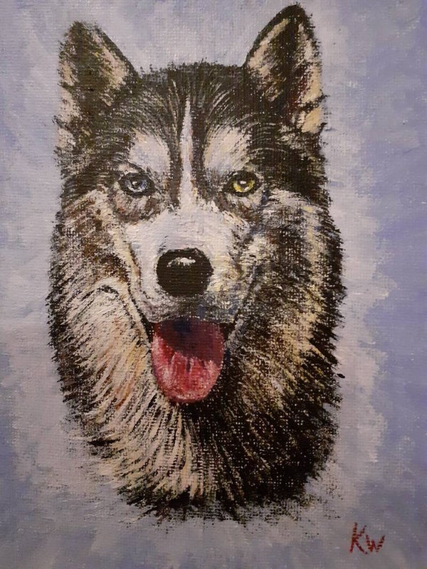 Husky