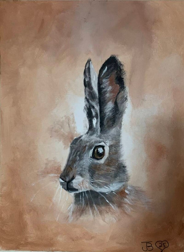Hare