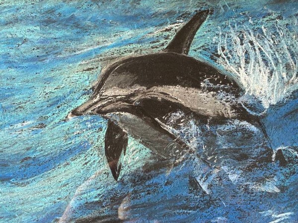 Dolphin