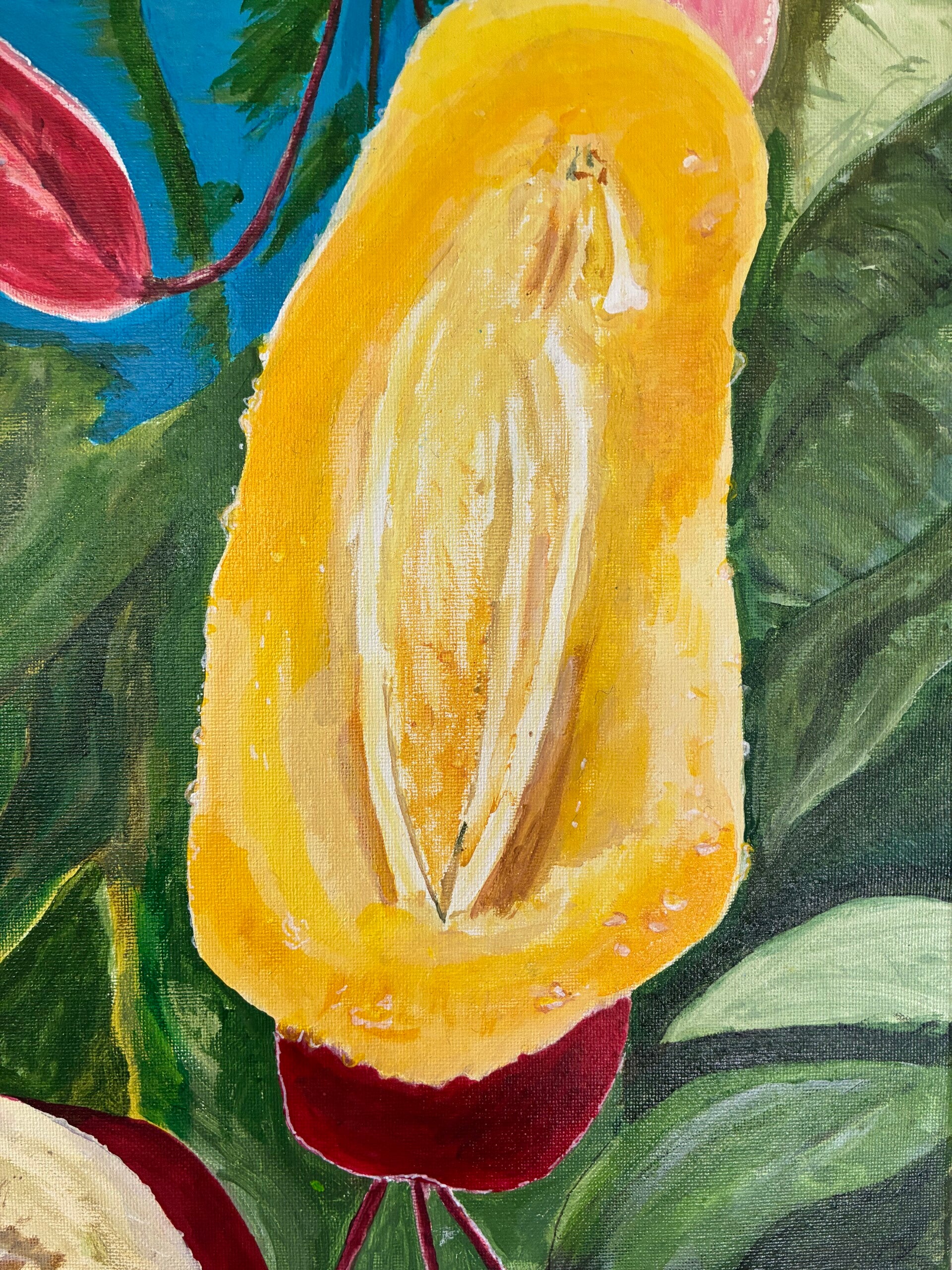 Mysore trumpet vine.