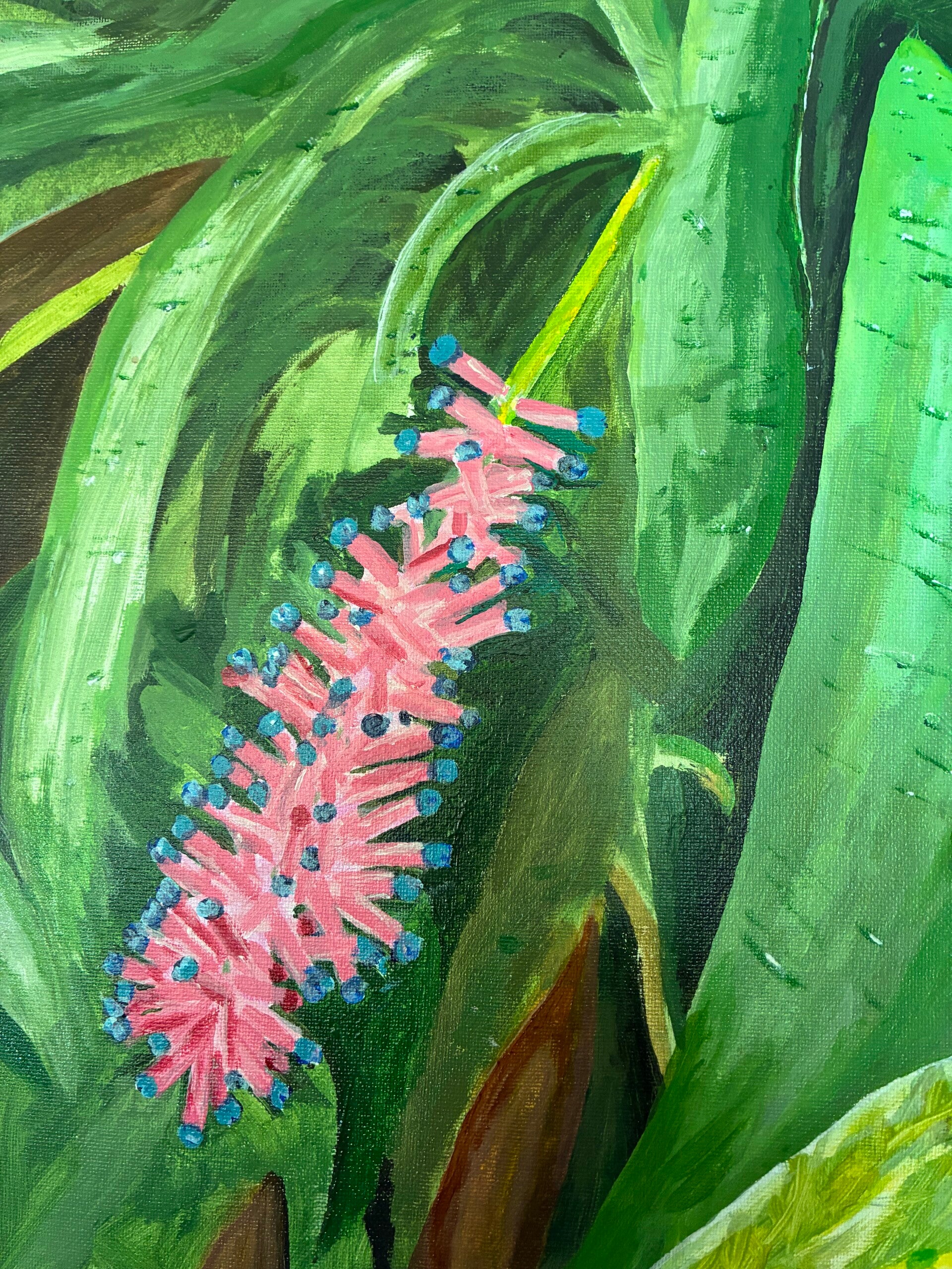 Matchstick Bromeliad.