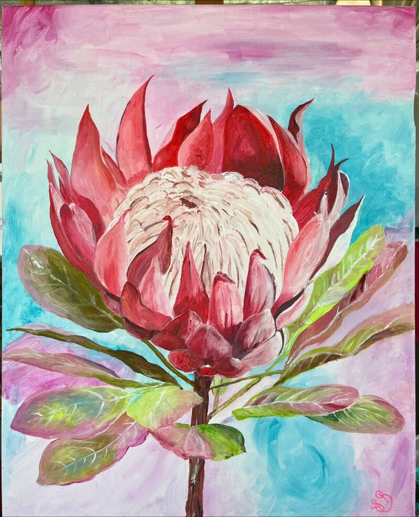 Protea