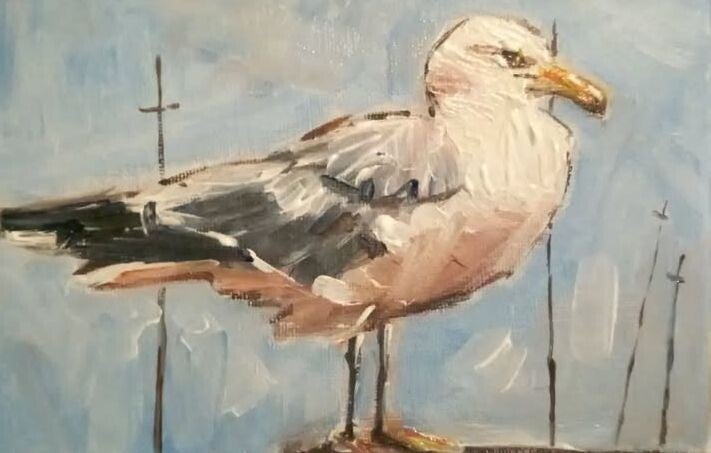 Seagull