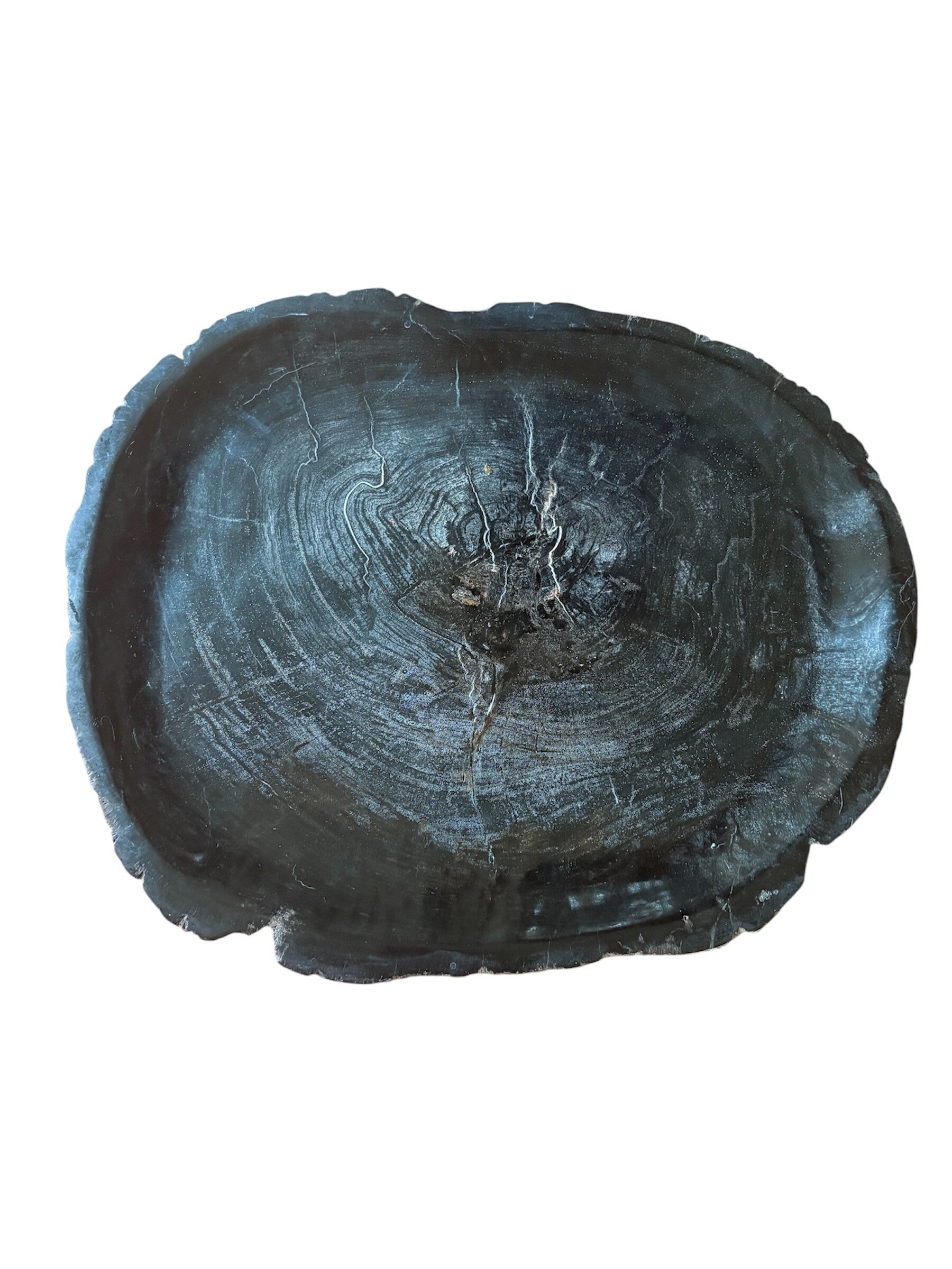 Dienblad versteend hout D1