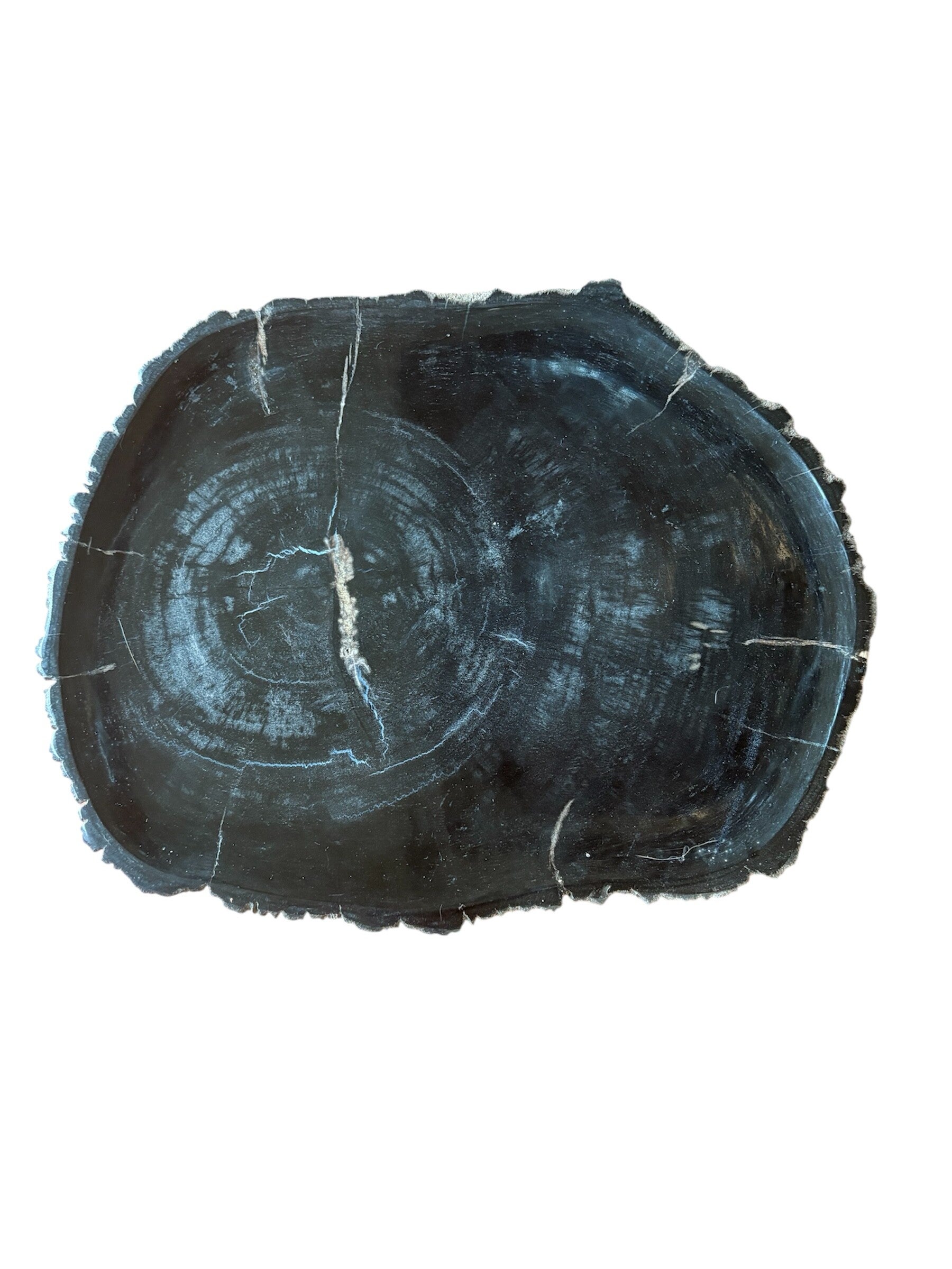 Dienblad versteend hout D2