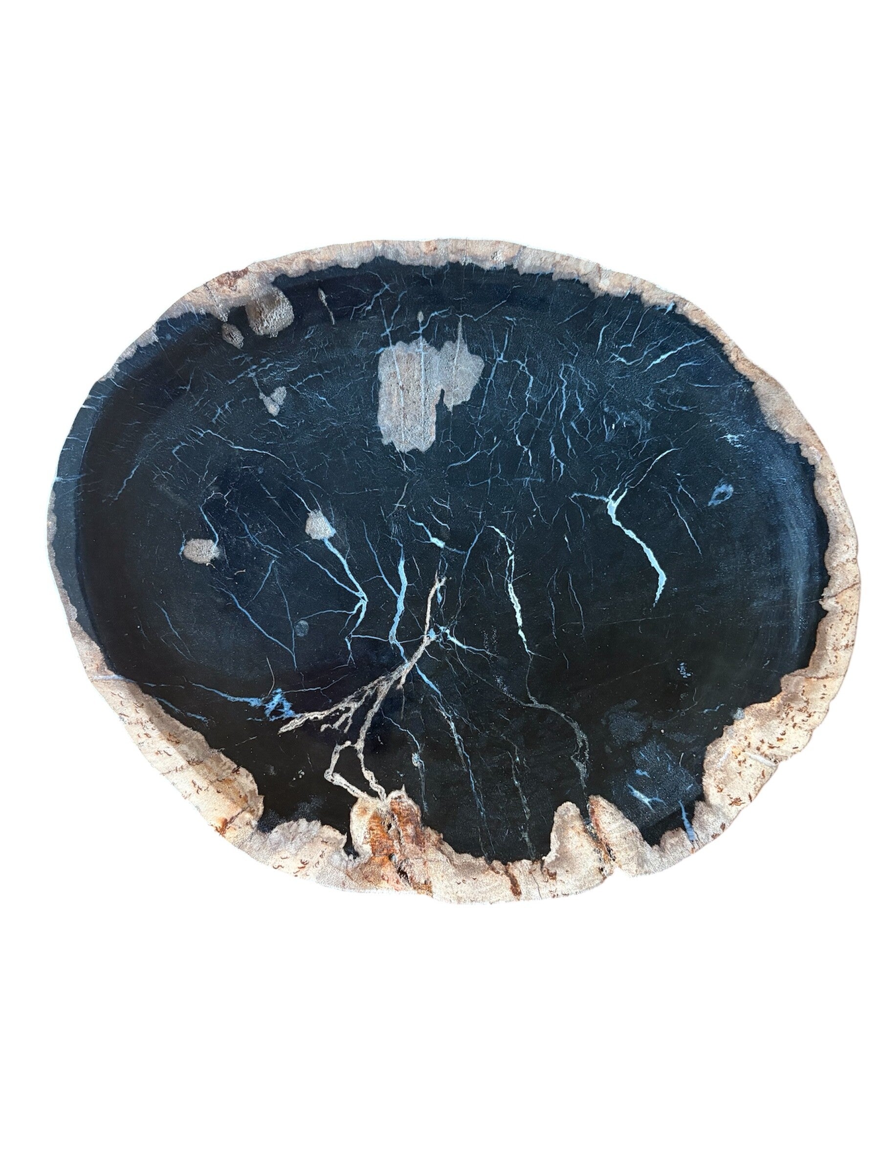 Dienblad versteend hout D3