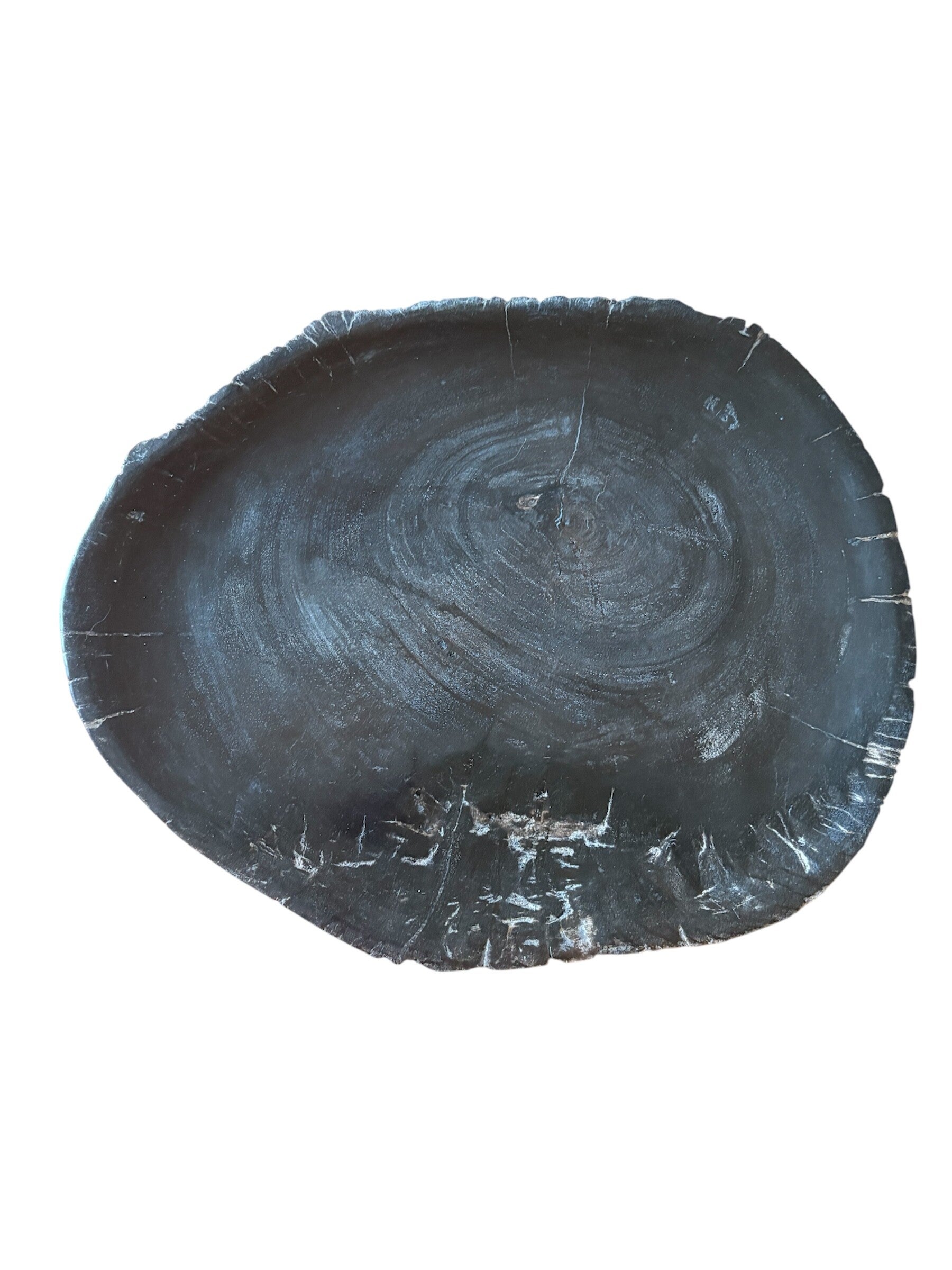 Dienblad versteend hout D4