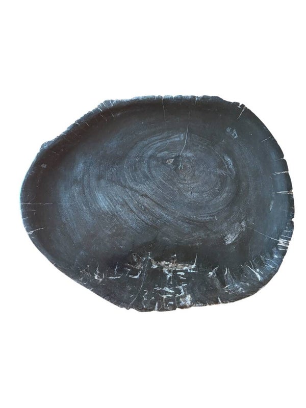 Dienblad versteend hout D4