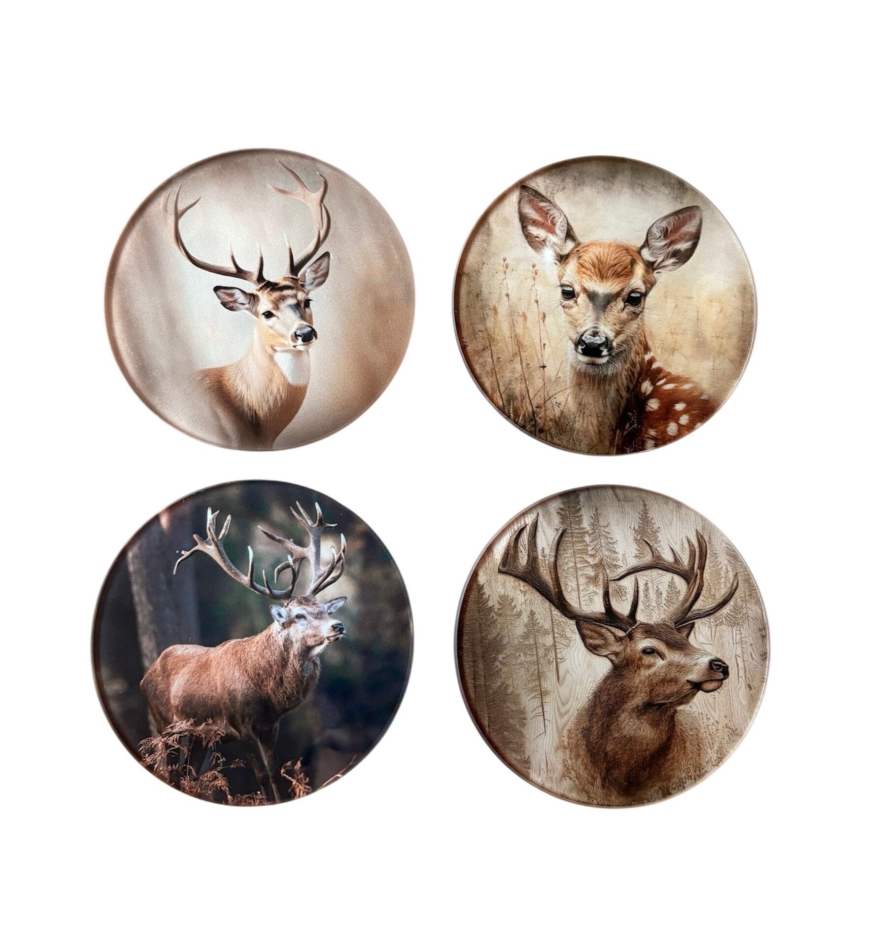 Glazen onderzetters Wild 4 stuks