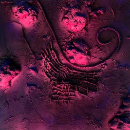 e1127f02-37d6-4d74-b0e7-46fb1be73a25.jpg