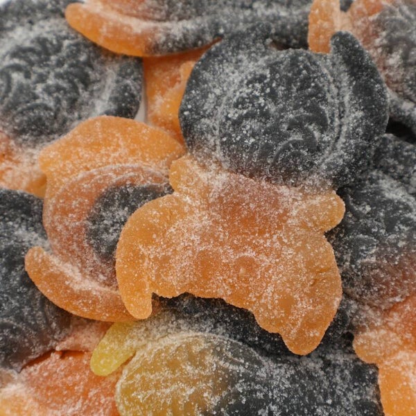 Giga Gesuikerde Vogelspinnen