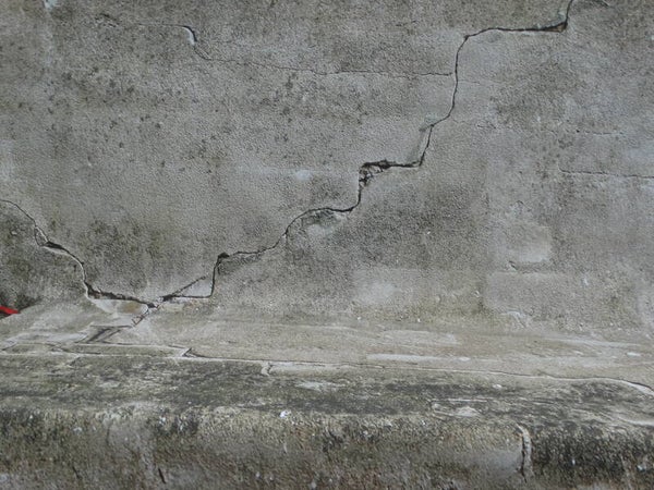 Bonen, spekbonen