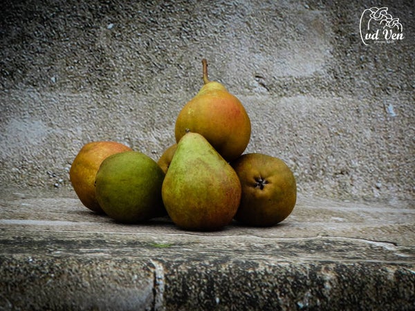 GieserWildeman, stoofpeer