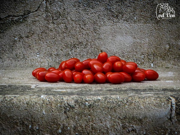 Snoeptomaat cherry pruim