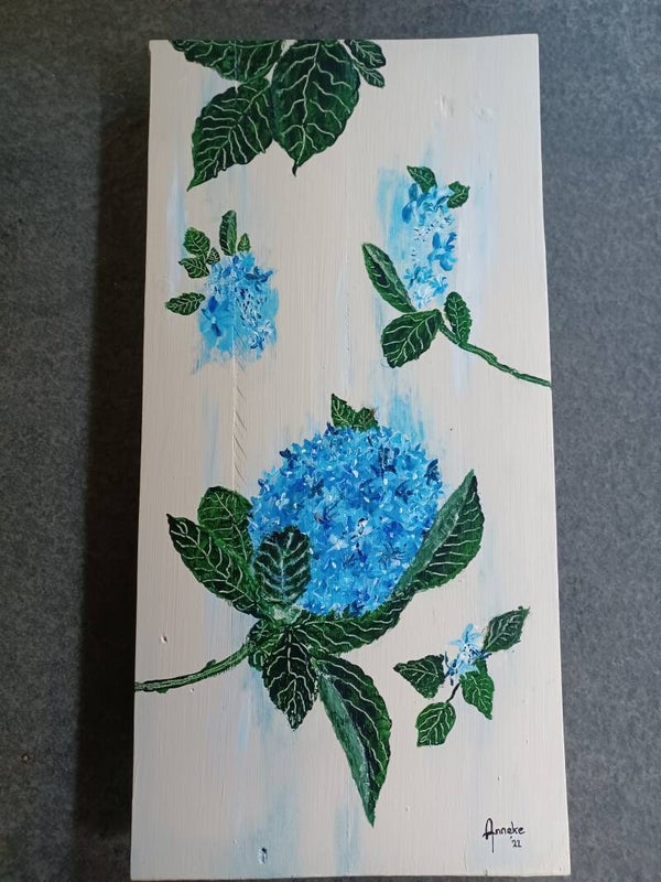 Collectie Anneke: Hortensia