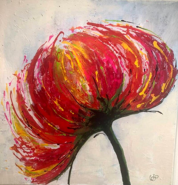 Collectie Wiep: Tulp