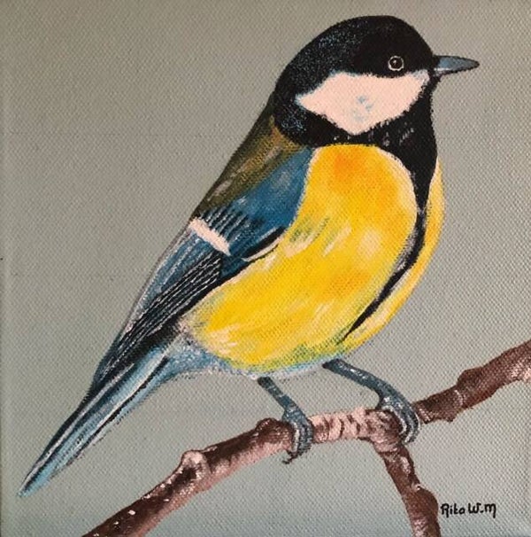 Collectie Rita: Koolmees.