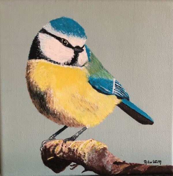 Collectie Rita: Pimpelmees