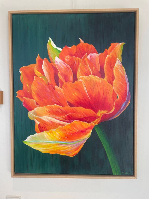 Collectie Rita: Tulp