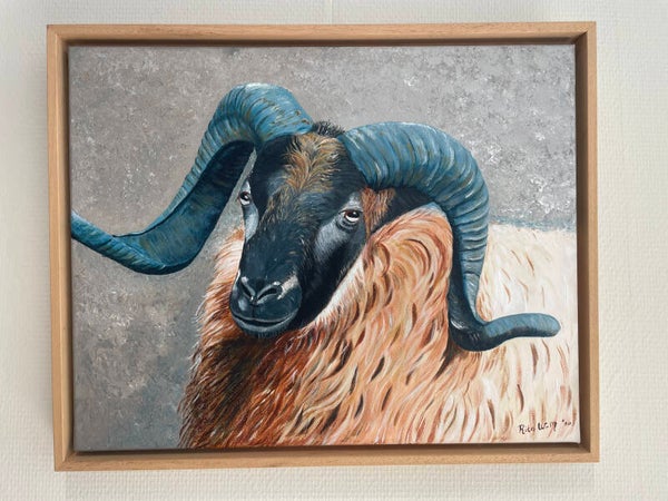 Collectie Rita: Schaap