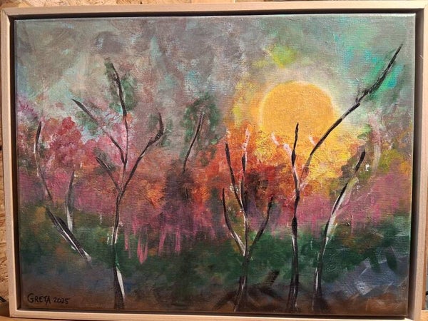 Collectie Greta: opkomende zon door struiken