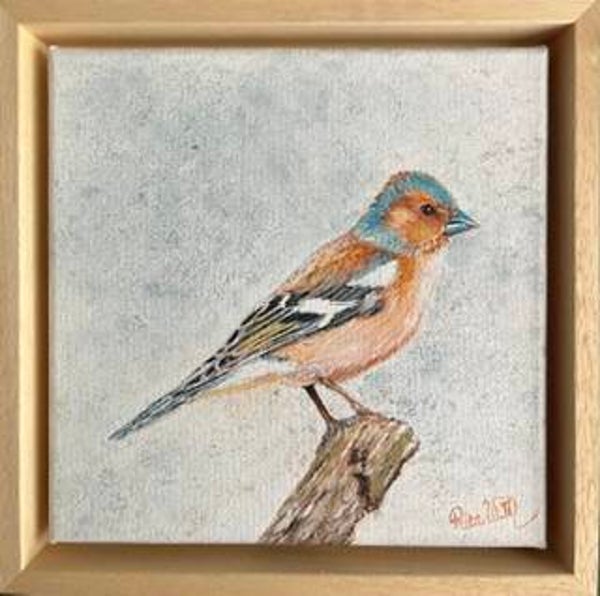 Collectie Rita: Vink
