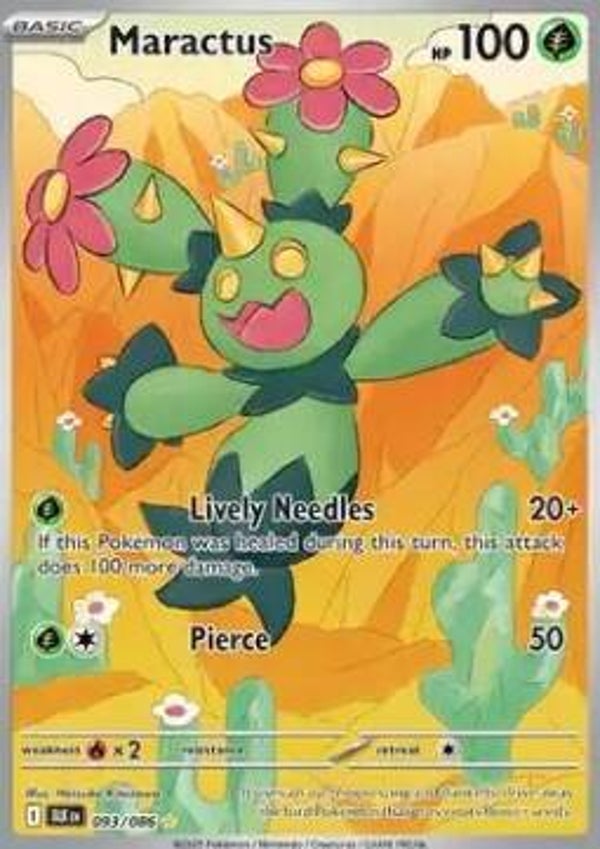 Maractus (BLK 093)