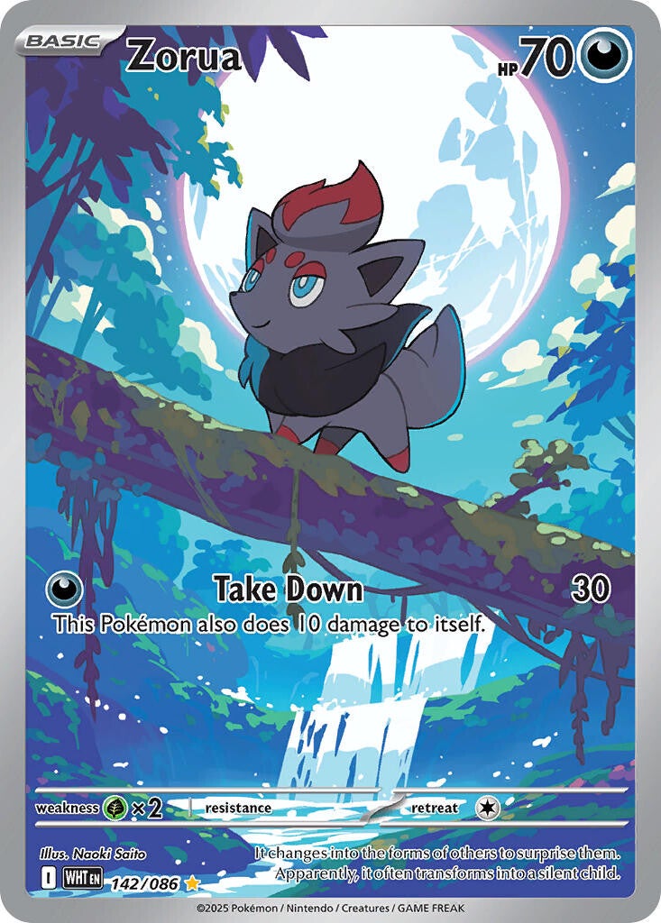Zorua (WHT 142)