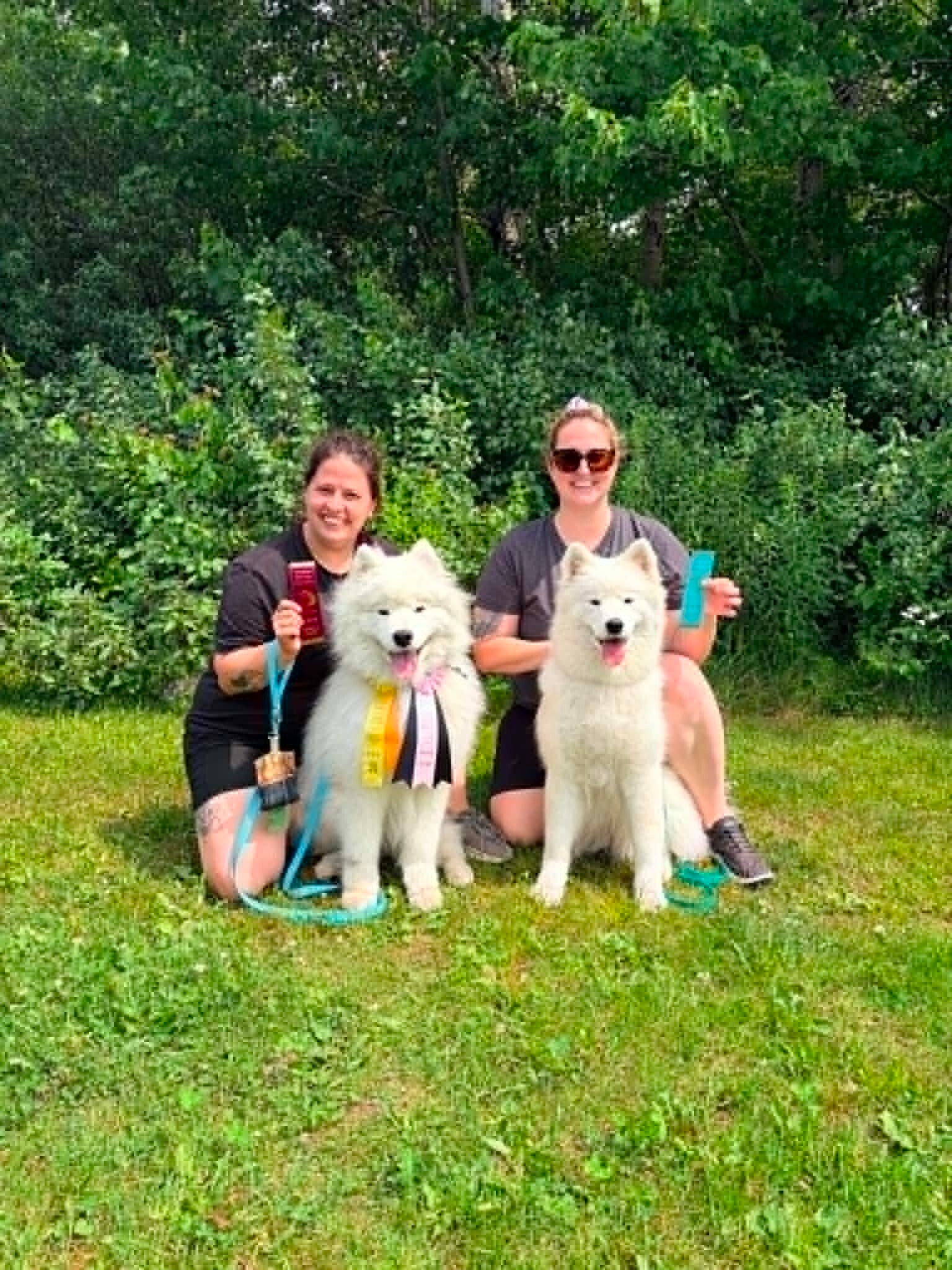 team talgor samoyede disc frisbee educatrice canine