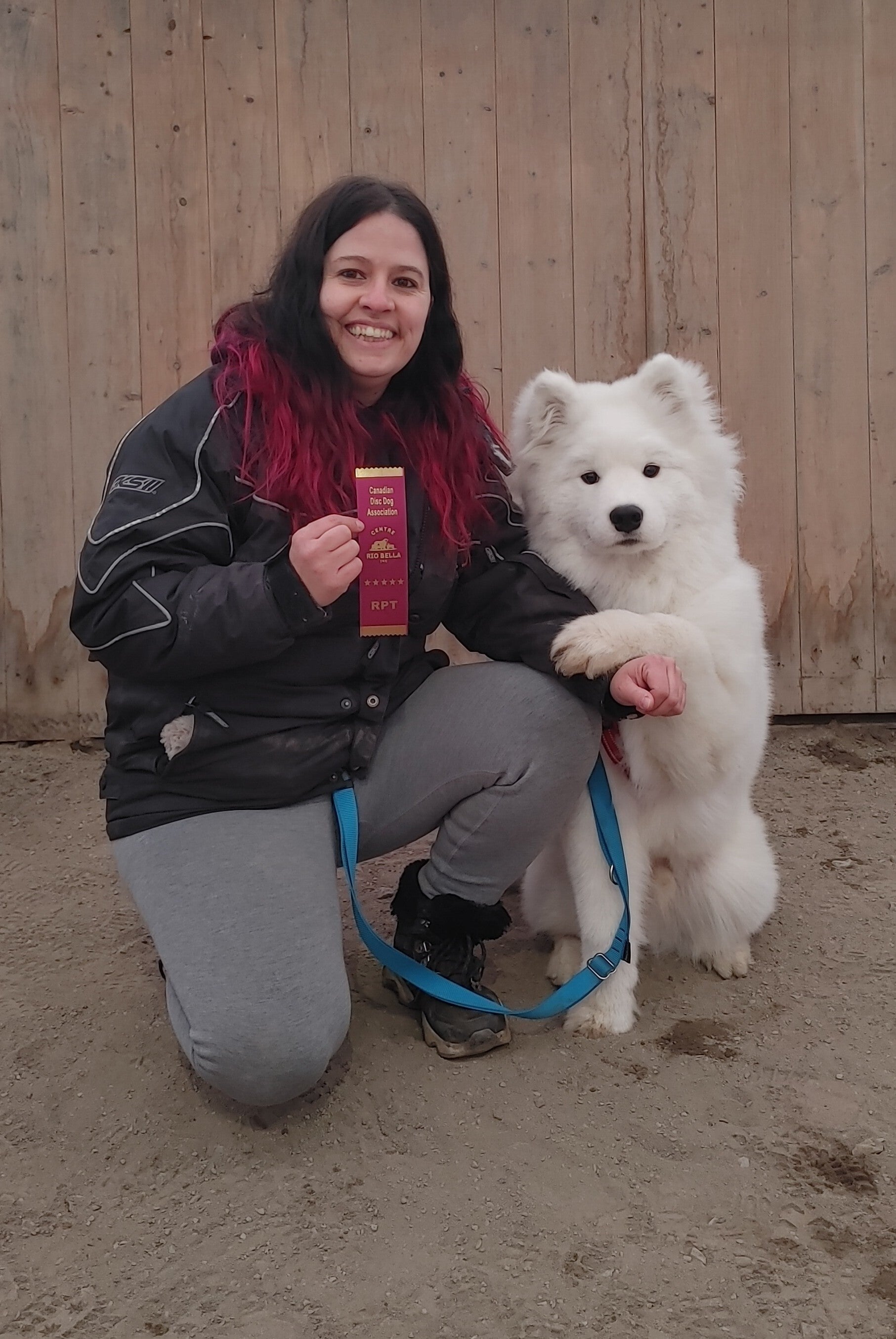 samoyede qui pose avec son entraineure canin avec leur ruban gagner en competition