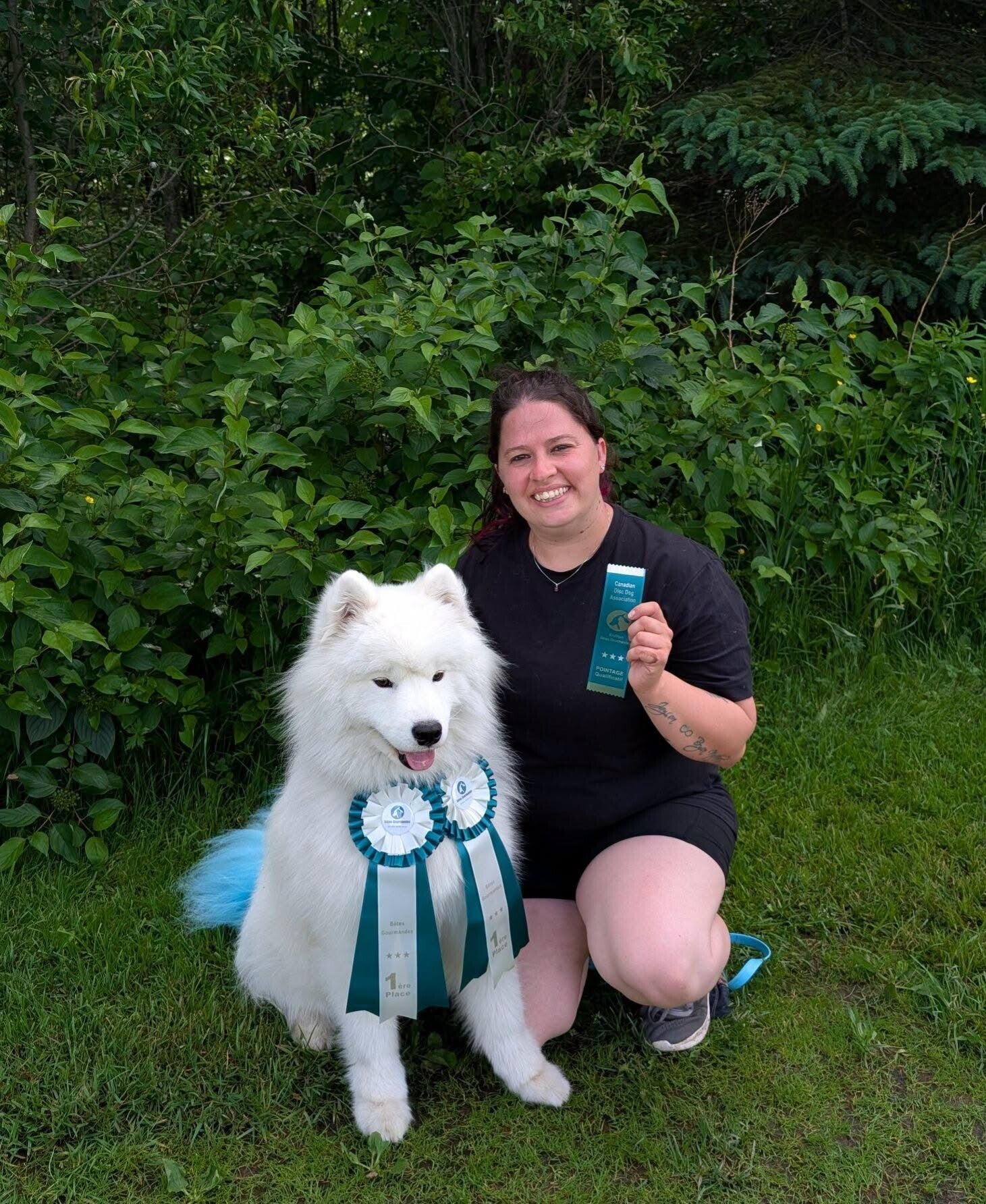 team talgor disc dog samoyede