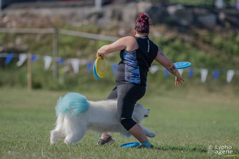 usddn2026 samoyede disc teamtalgor