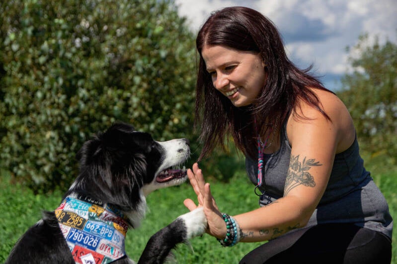 humain et son border collie qui se tappe dans la main