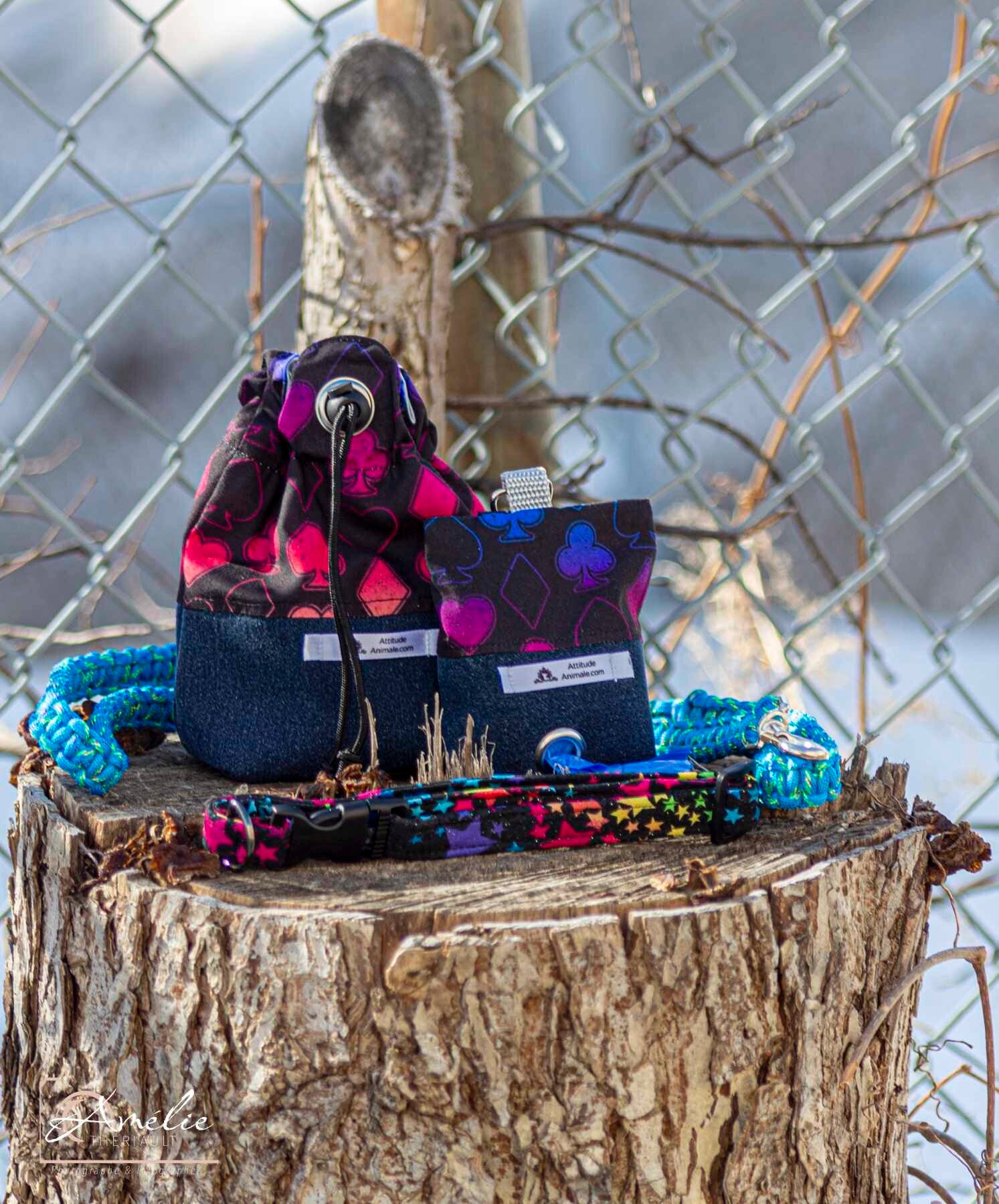 pochette a gaterie, poop bag, laisse et collier photographier sur une buche