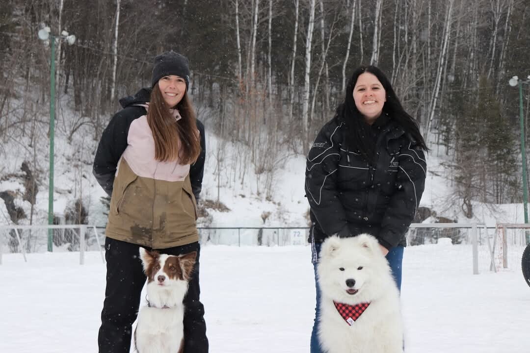 spectacle canin, 2 entraineure et leur chien samoyede et border collie