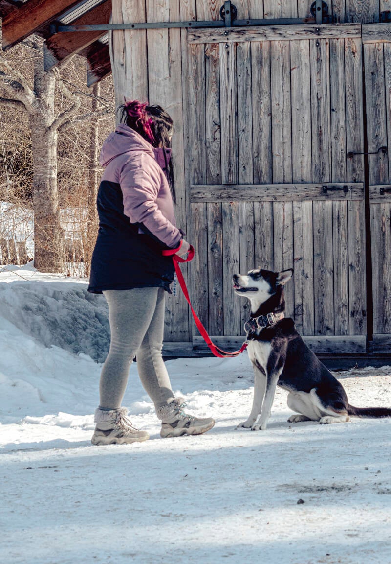 dresseure canine avec un husky assis devant elle