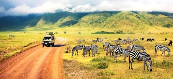 Viaje Grupal por Tanzania, la Gran Migración del 05/09/2026 al 21/09/2026